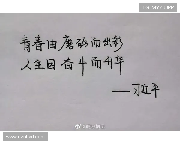 逆境中奋起的青春力量排球少年以汗水与坚持书写荣耀篇章
